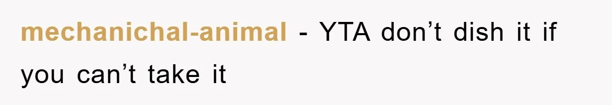 mechanichal-animal − YTA don’t dish it if you can’t take it