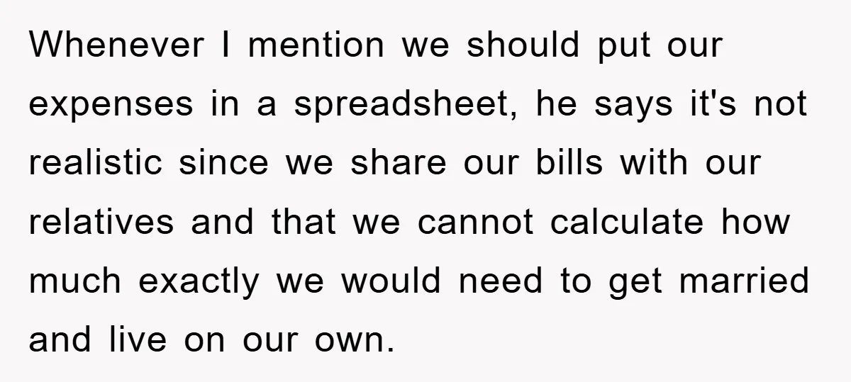 Whenever I mention we should put our expenses in a spreadsheet, he says it's not realistic since we share our bills with our relatives and that we cannot calculate how...