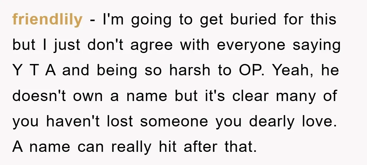 friendlily − I'm going to get buried for this but I just don't agree with everyone saying Y T A and being so harsh to OP. Yeah, he doesn't own...