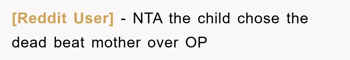 [Reddit User] − NTA the child chose the dead beat mother over OP