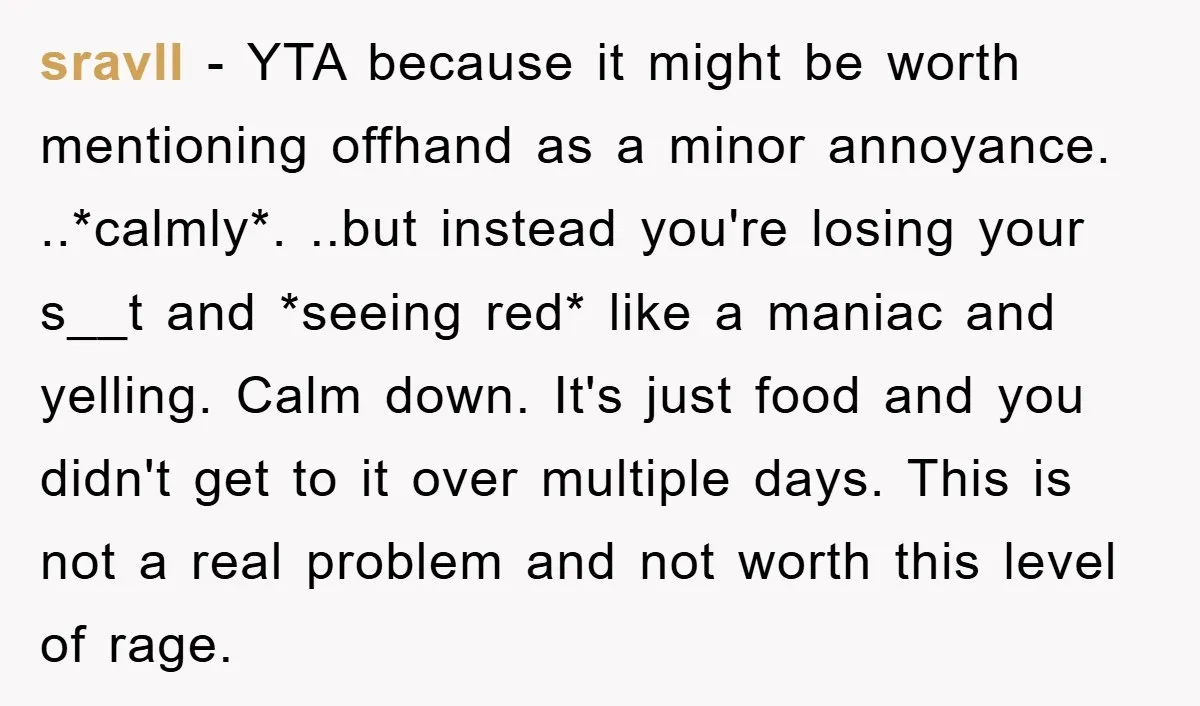 sravll − YTA because it might be worth mentioning offhand as a minor annoyance. ..*calmly*. ..but instead you're losing your s__t and *seeing red* like a maniac and yelling. Calm...