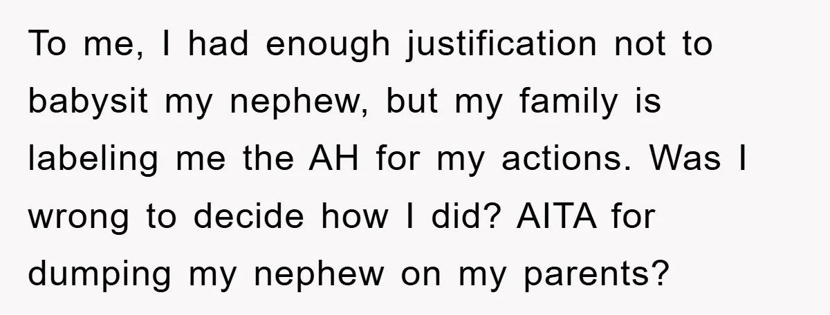To me, I had enough justification not to babysit my nephew, but my family is labeling me the AH for my actions. Was I wrong to decide how I did?...