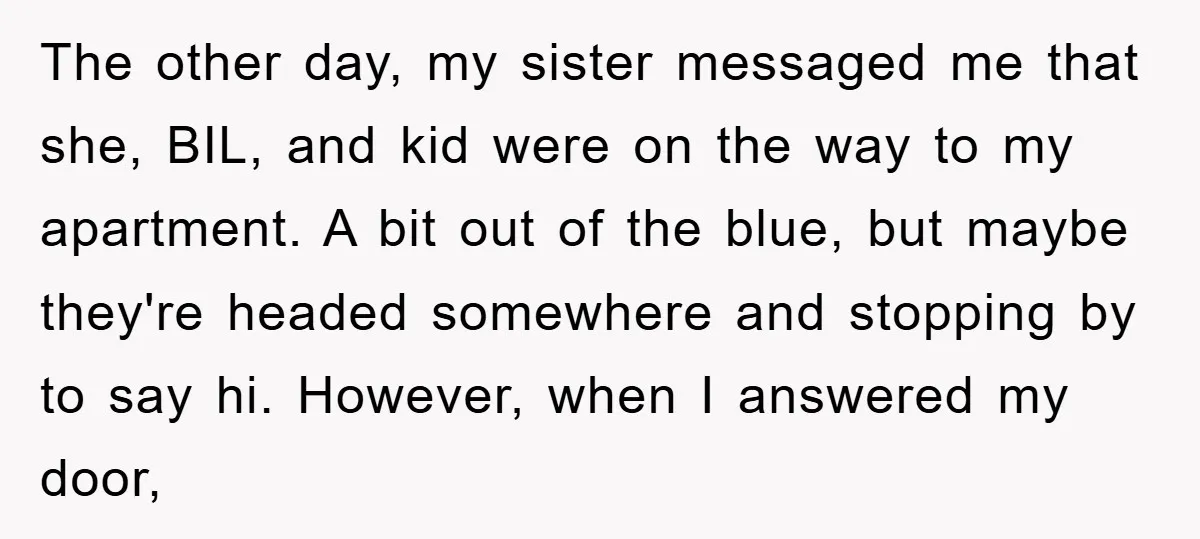 The other day, my sister messaged me that she, BIL, and kid were on the way to my apartment. A bit out of the blue, but maybe they're headed somewhere...