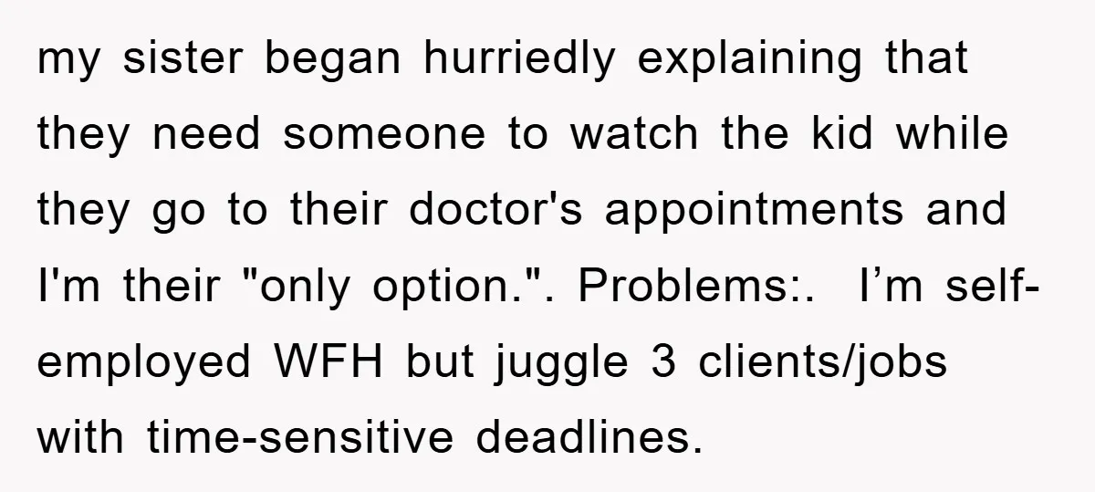 my sister began hurriedly explaining that they need someone to watch the kid while they go to their doctor's appointments and I'm their "only option.". Problems:. I’m self-employed WFH but...