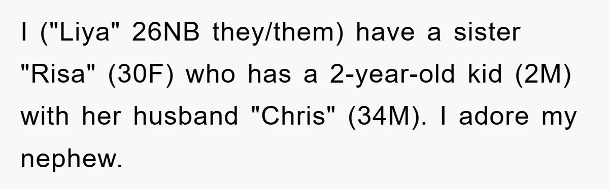 I ("Liya" 26NB they/them) have a sister "Risa" (30F) who has a 2-year-old kid (2M) with her husband "Chris" (34M). I adore my nephew.