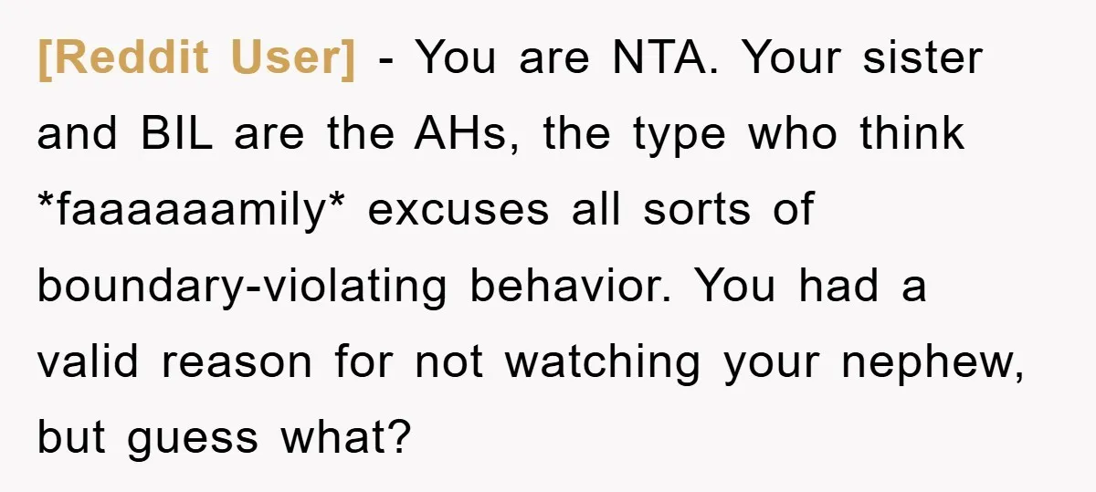 [Reddit User] − You are NTA. Your sister and BIL are the AHs, the type who think *faaaaaamily* excuses all sorts of boundary-violating behavior. You had a valid reason for...