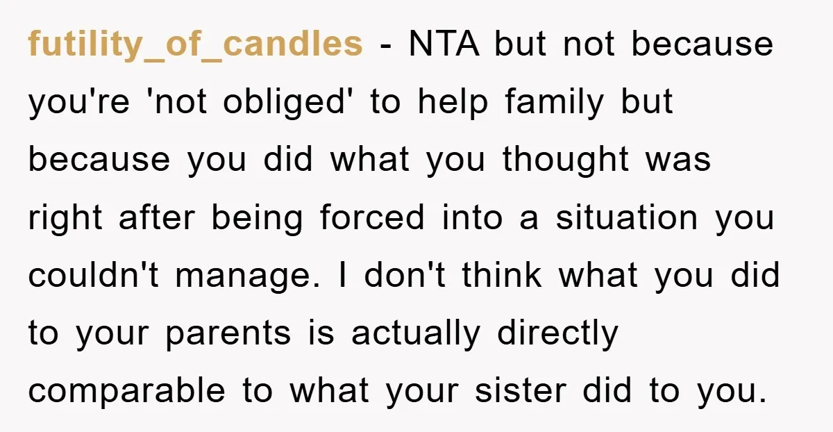 futility_of_candles − NTA but not because you're 'not obliged' to help family but because you did what you thought was right after being forced into a situation you couldn't manage....