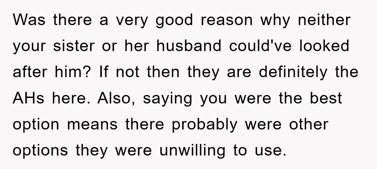 Was there a very good reason why neither your sister or her husband could've looked after him? If not then they are definitely the AHs here. Also, saying you were...