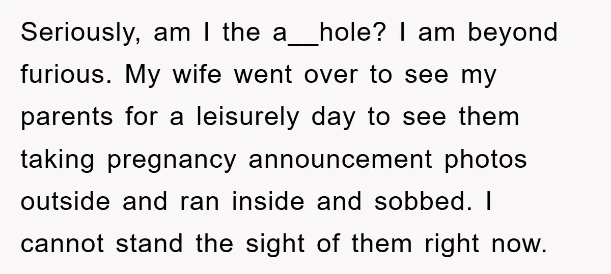 Seriously, am I the a__hole? I am beyond furious. My wife went over to see my parents for a leisurely day to see them taking pregnancy announcement photos outside and...