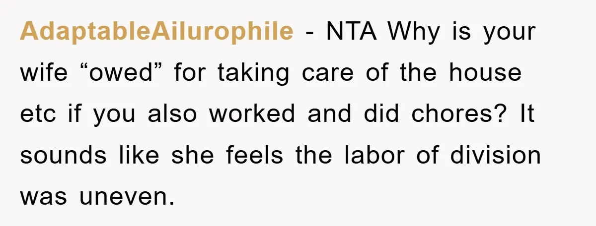 AdaptableAilurophile − NTA Why is your wife “owed” for taking care of the house etc if you also worked and did chores? It sounds like she feels the labor of...