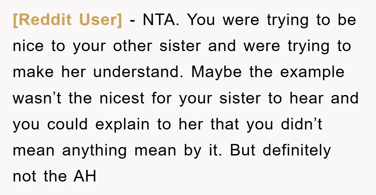 [Reddit User] − NTA. You were trying to be nice to your other sister and were trying to make her understand. Maybe the example wasn’t the nicest for your sister...