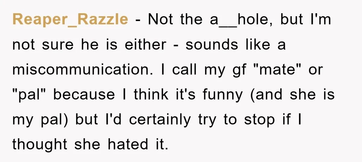 Reaper_Razzle − Not the a__hole, but I'm not sure he is either - sounds like a miscommunication. I call my gf "mate" or "pal" because I think it's funny (and...