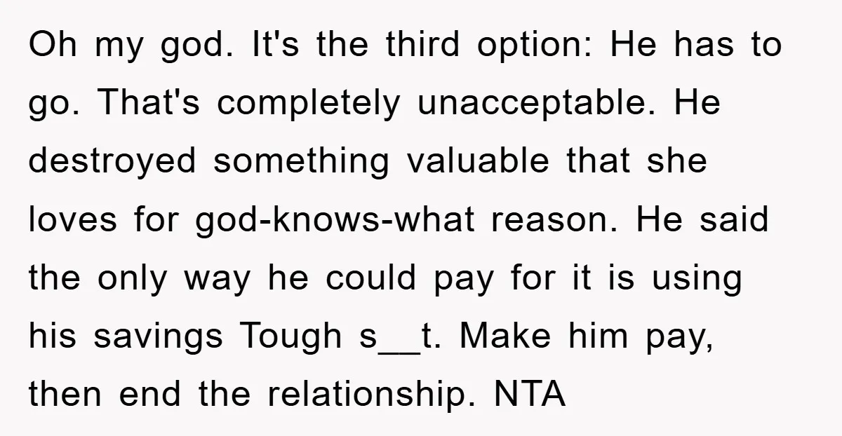 Oh my god. It's the third option: He has to go. That's completely unacceptable. He destroyed something valuable that she loves for god-knows-what reason. He said the only way he...
