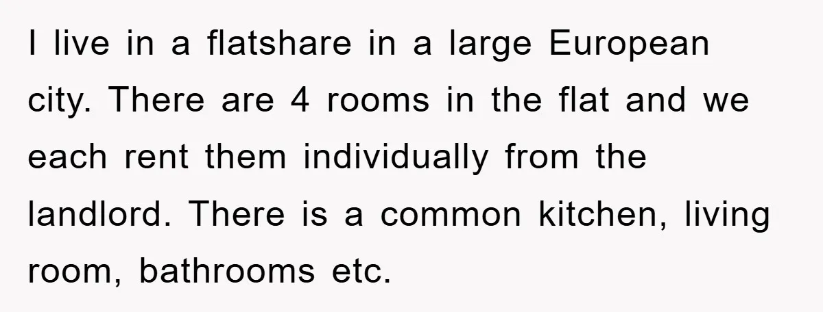 I live in a flatshare in a large European city. There are 4 rooms in the flat and we each rent them individually from the landlord. There is a common...