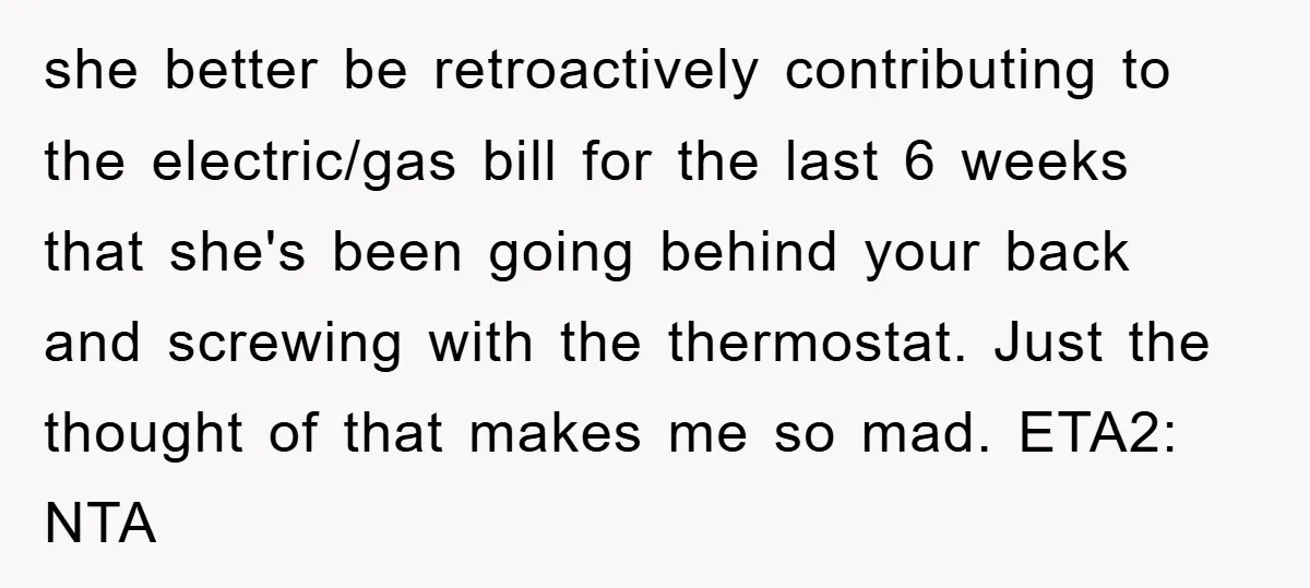 she better be retroactively contributing to the electric/gas bill for the last 6 weeks that she's been going behind your back and screwing with the thermostat. Just the thought of...