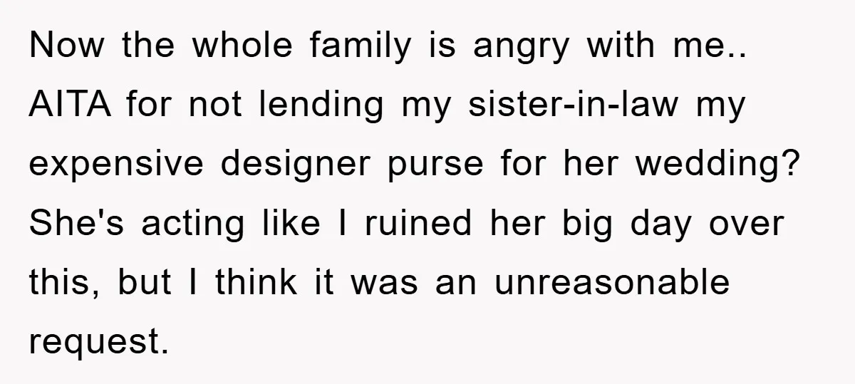 Now the whole family is angry with me.. AITA for not lending my sister-in-law my expensive designer purse for her wedding? She's acting like I ruined her big day over...