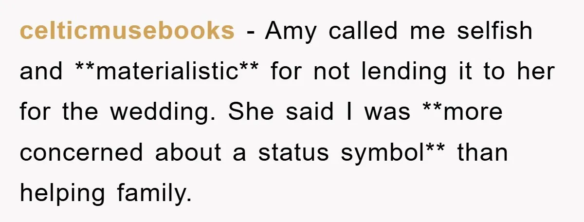 celticmusebooks − Amy called me selfish and **materialistic** for not lending it to her for the wedding. She said I was **more concerned about a status symbol** than helping family.