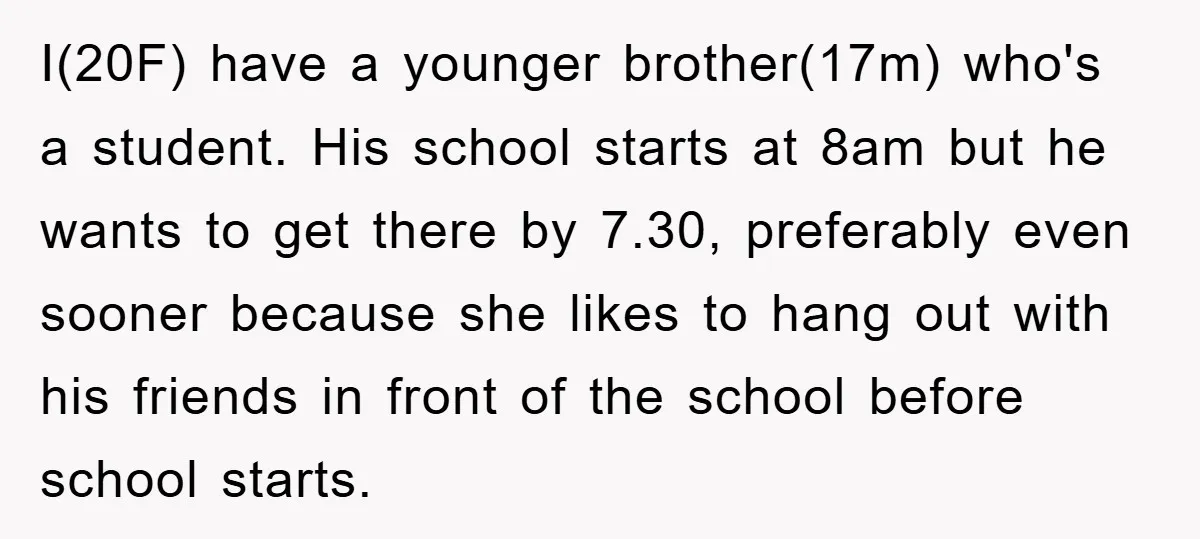 I(20F) have a younger brother(17m) who's a student. His school starts at 8am but he wants to get there by 7.30, preferably even sooner because she likes to hang out...
