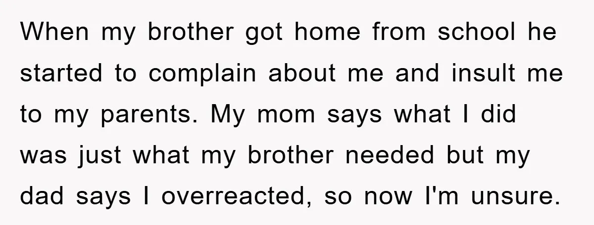 When my brother got home from school he started to complain about me and insult me to my parents. My mom says what I did was just what my brother...