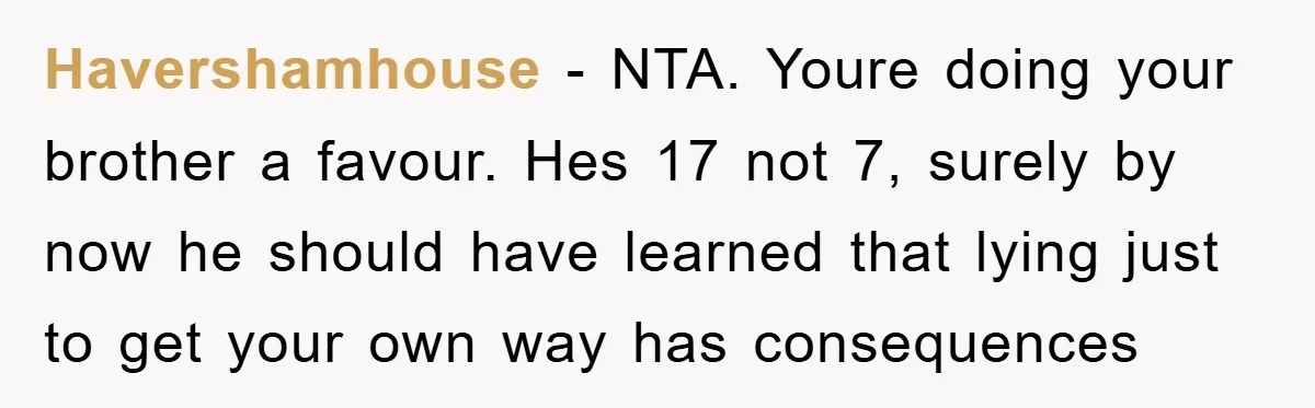 Havershamhouse − NTA. Youre doing your brother a favour. Hes 17 not 7, surely by now he should have learned that lying just to get your own way has consequences