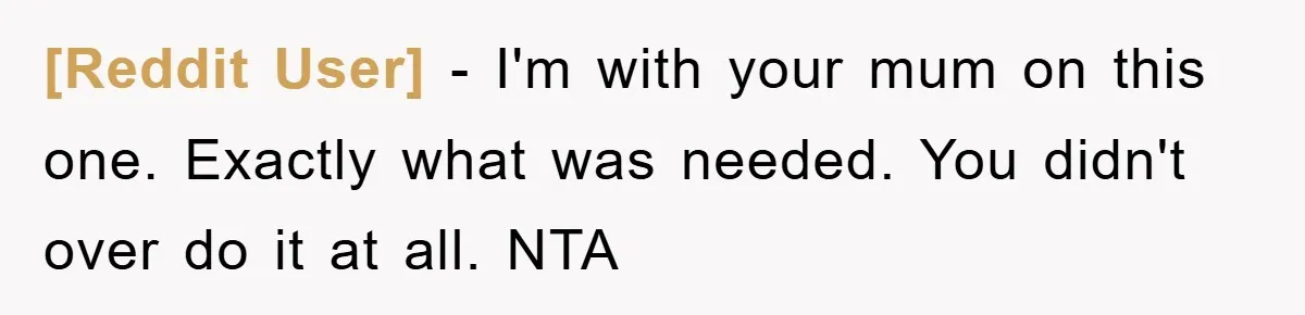 [Reddit User] − I'm with your mum on this one. Exactly what was needed. You didn't over do it at all. NTA
