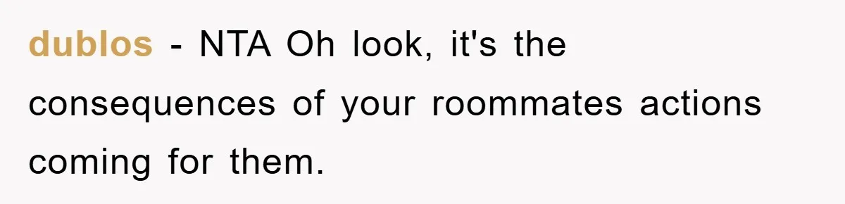 dublos − NTA Oh look, it's the consequences of your roommates actions coming for them.