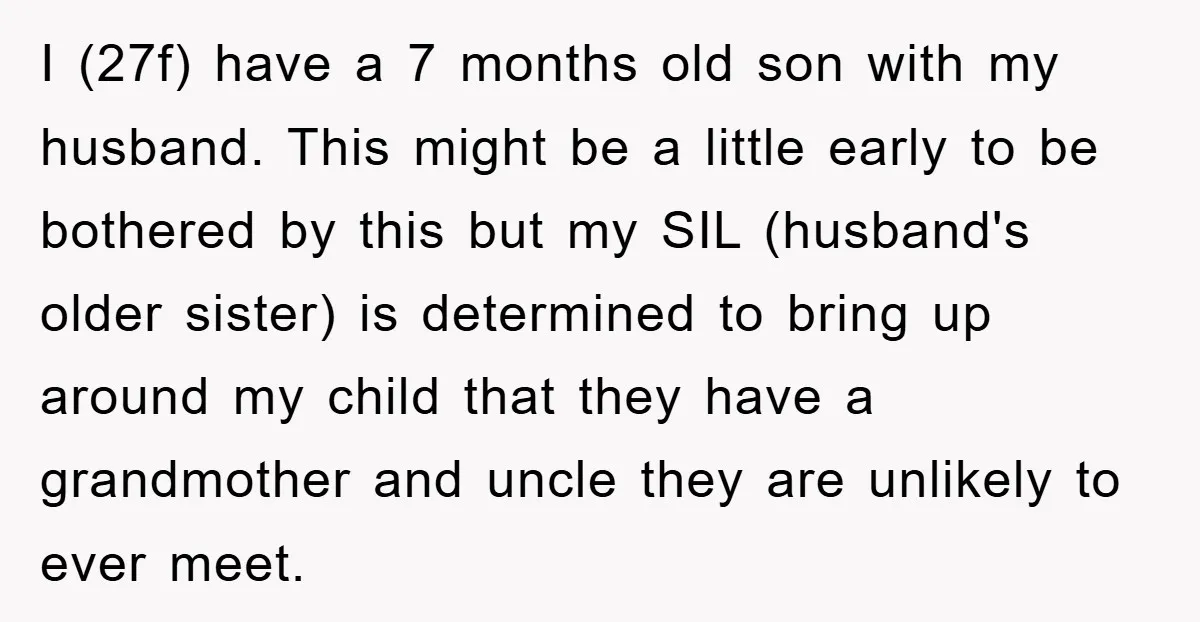 I (27f) have a 7 months old son with my husband. This might be a little early to be bothered by this but my SIL (husband's older sister) is determined...