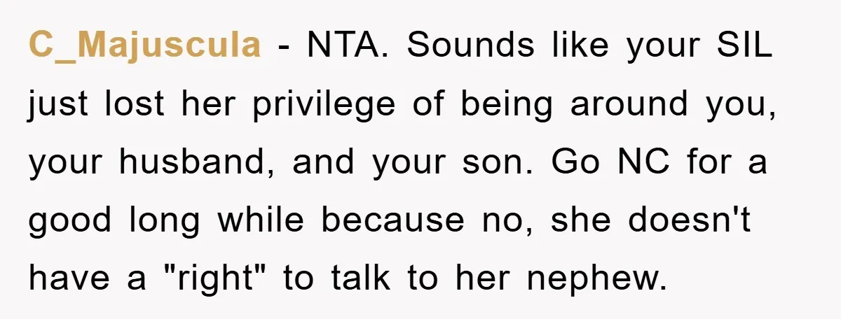 C_Majuscula − NTA. Sounds like your SIL just lost her privilege of being around you, your husband, and your son. Go NC for a good long while because no, she...