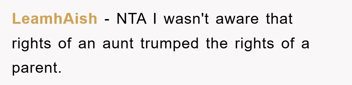 LeamhAish − NTA I wasn't aware that rights of an aunt trumped the rights of a parent.