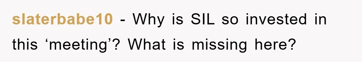 slaterbabe10 − Why is SIL so invested in this ‘meeting’? What is missing here?