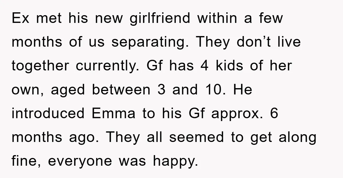 Ex met his new girlfriend within a few months of us separating. They don’t live together currently. Gf has 4 kids of her own, aged between 3 and 10. He...