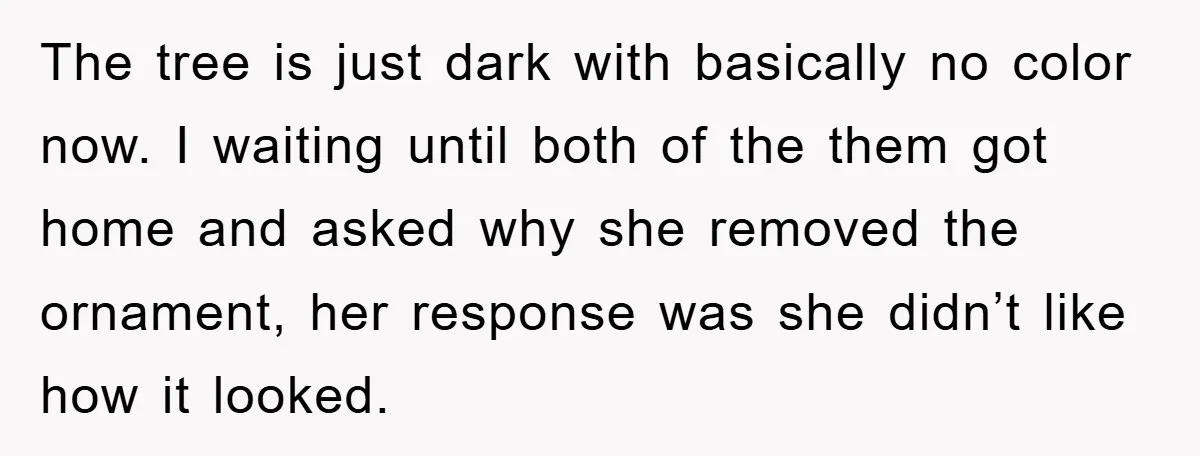 The tree is just dark with basically no color now. I waiting until both of the them got home and asked why she removed the ornament, her response was she...