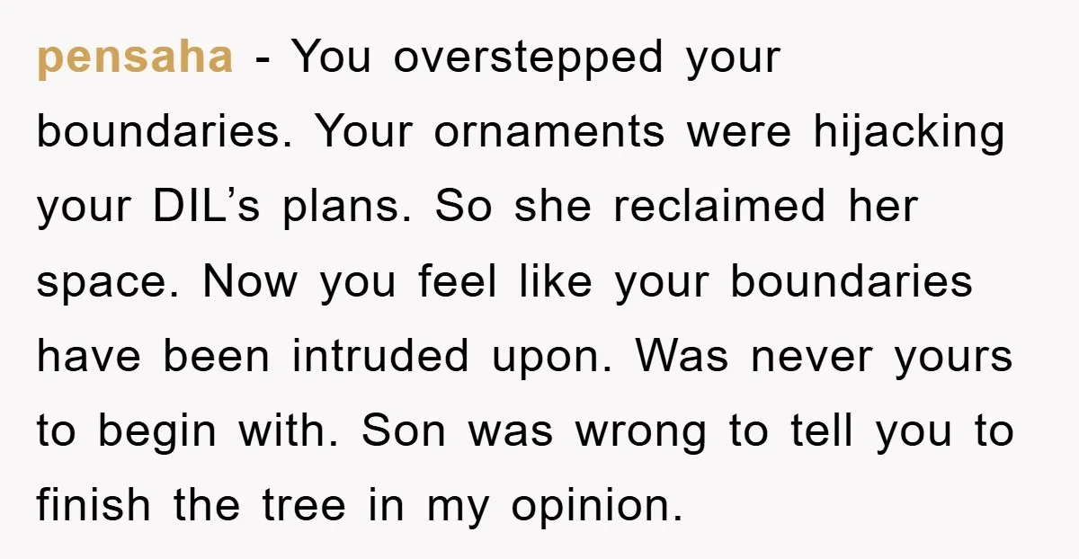 pensaha − You overstepped your boundaries. Your ornaments were hijacking your DIL’s plans. So she reclaimed her space. Now you feel like your boundaries have been intruded upon. Was never...