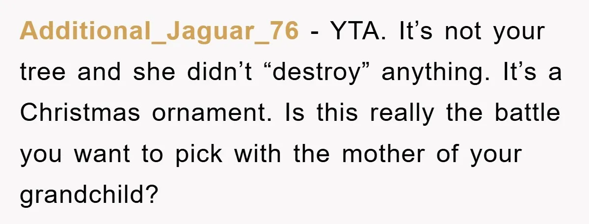 Additional_Jaguar_76 − YTA. It’s not your tree and she didn’t “destroy” anything. It’s a Christmas ornament. Is this really the battle you want to pick with the mother of your...