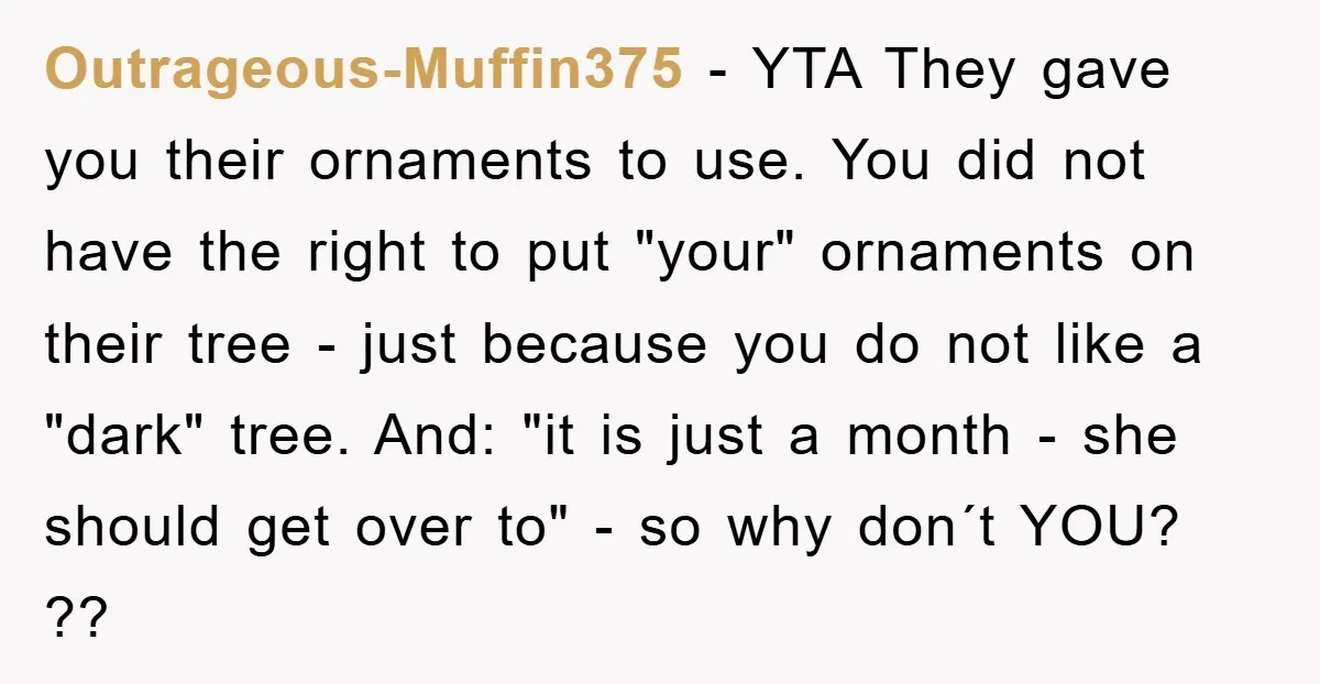 Outrageous-Muffin375 − YTA They gave you their ornaments to use. You did not have the right to put "your" ornaments on their tree - just because you do not like...