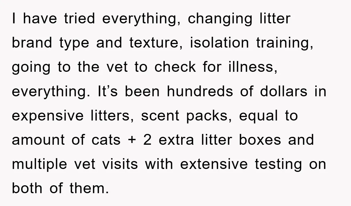 I have tried everything, changing litter brand type and texture, isolation training, going to the vet to check for illness, everything. It’s been hundreds of dollars in expensive litters, scent...