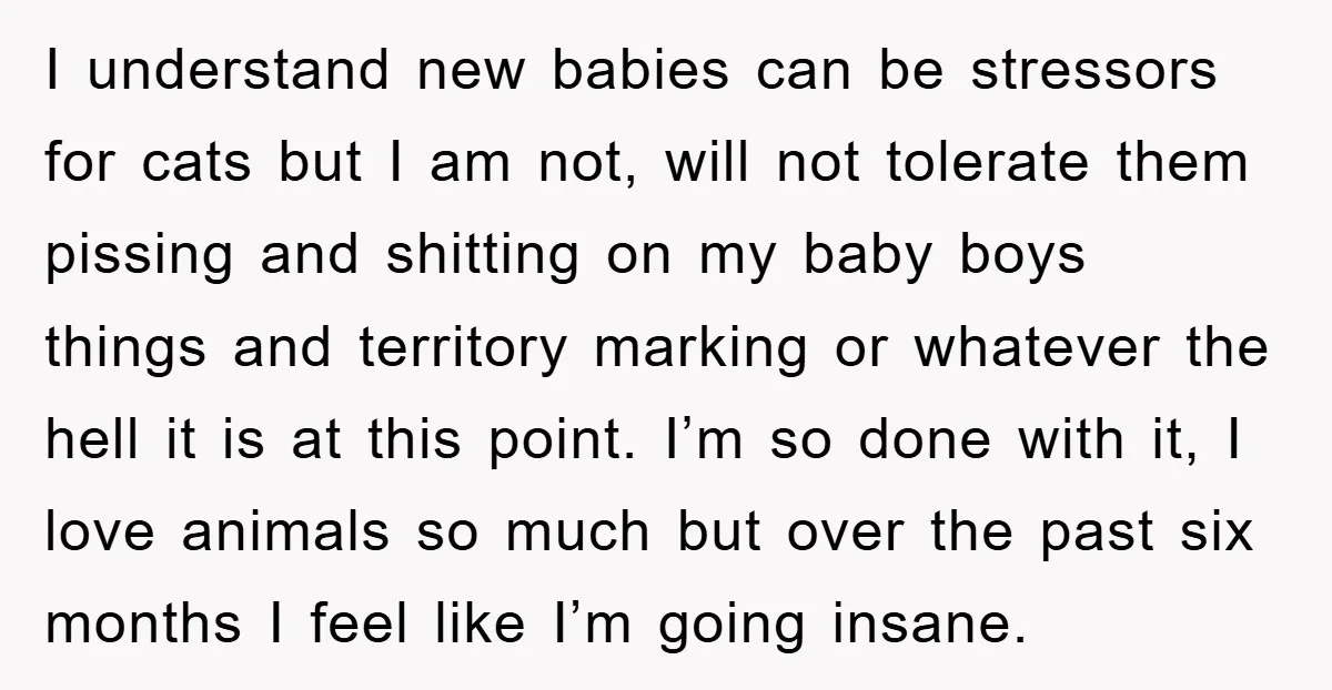 I understand new babies can be stressors for cats but I am not, will not tolerate them pissing and shitting on my baby boys things and territory marking or whatever...