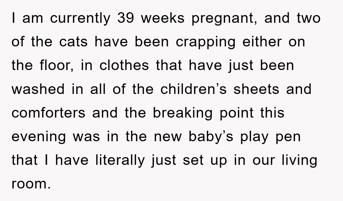 I am currently 39 weeks pregnant, and two of the cats have been crapping either on the floor, in clothes that have just been washed in all of the children’s...
