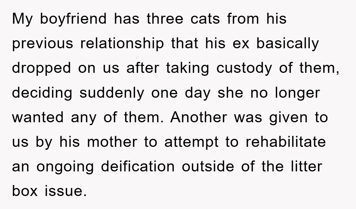 My boyfriend has three cats from his previous relationship that his ex basically dropped on us after taking custody of them, deciding suddenly one day she no longer wanted any...