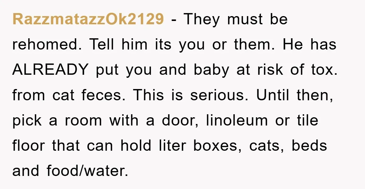 RazzmatazzOk2129 − They must be rehomed. Tell him its you or them. He has ALREADY put you and baby at risk of tox. from cat feces. This is serious. Until...