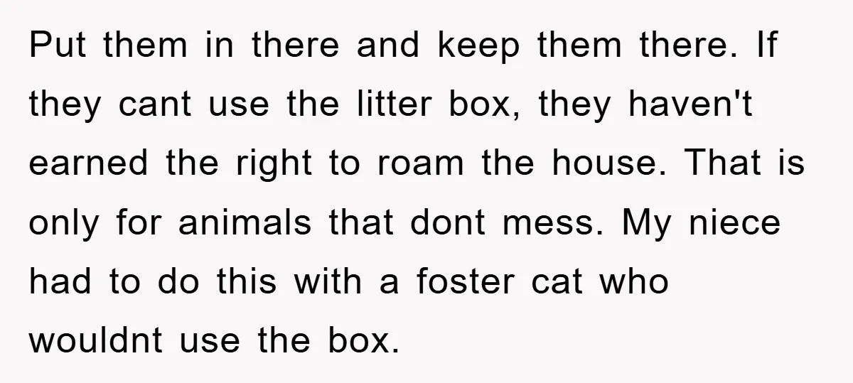 Put them in there and keep them there. If they cant use the litter box, they haven't earned the right to roam the house. That is only for animals that...