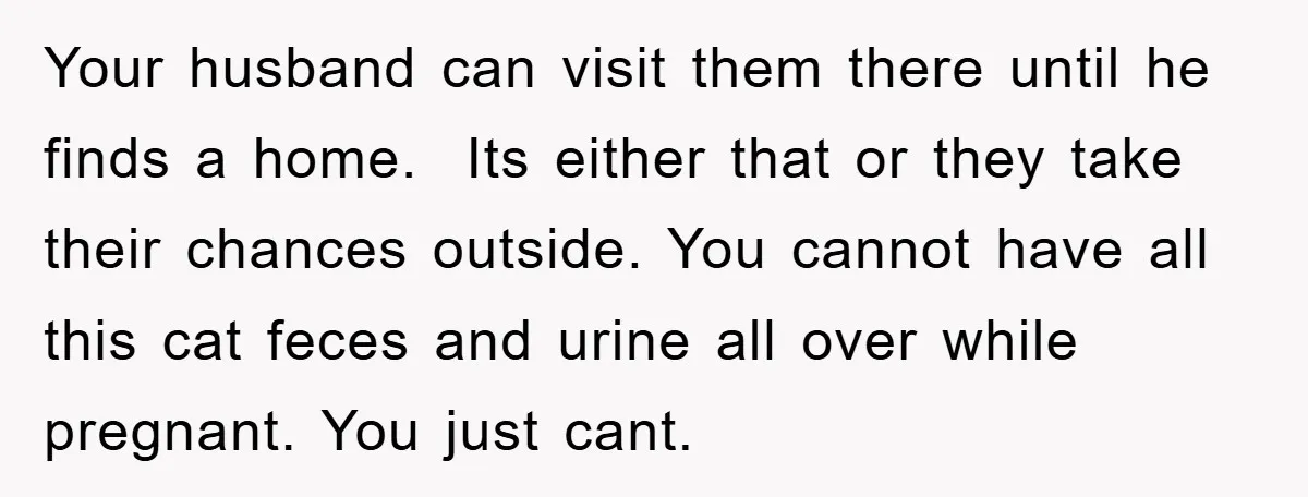 Your husband can visit them there until he finds a home. Its either that or they take their chances outside. You cannot have all this cat feces and urine all...