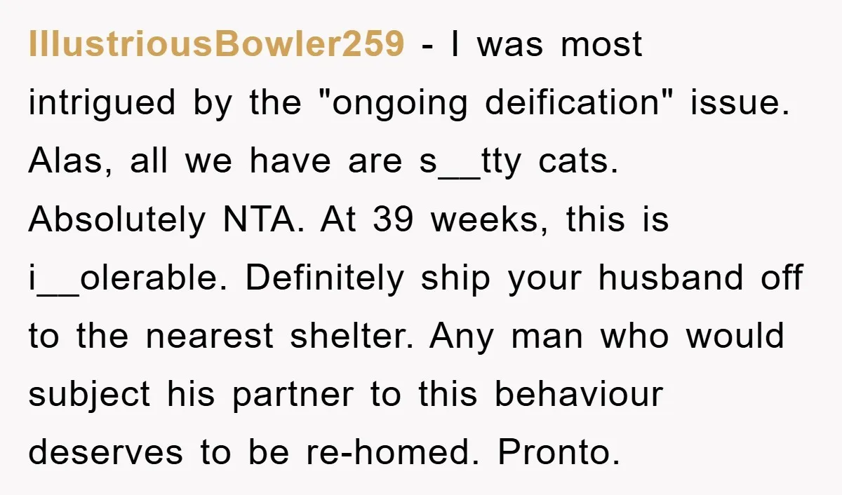 IllustriousBowler259 − I was most intrigued by the "ongoing deification" issue. Alas, all we have are s__tty cats. Absolutely NTA. At 39 weeks, this is i__olerable. Definitely ship your husband...