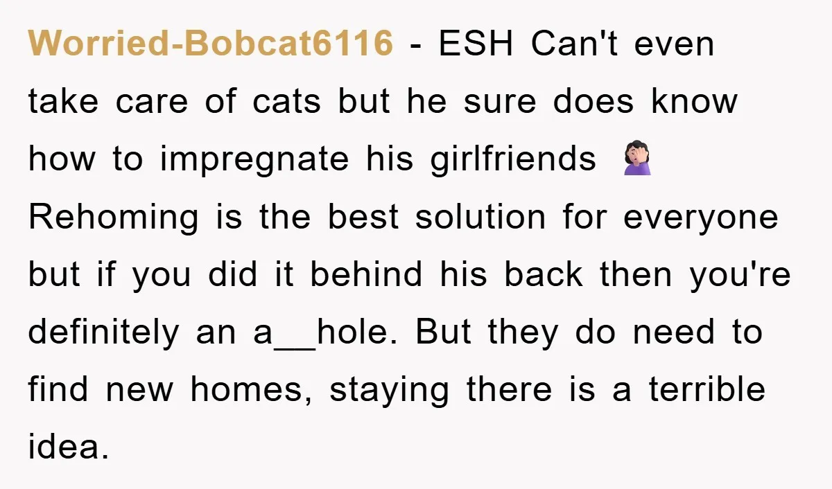 Worried-Bobcat6116 − ESH Can't even take care of cats but he sure does know how to impregnate his girlfriends 🤦🏻‍♀️ Rehoming is the best solution for everyone but if you...
