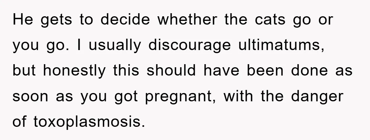 He gets to decide whether the cats go or you go. I usually discourage ultimatums, but honestly this should have been done as soon as you got pregnant, with the...