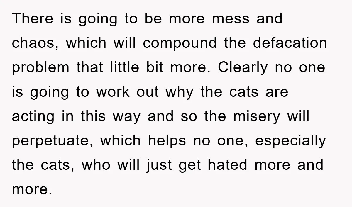 There is going to be more mess and chaos, which will compound the defacation problem that little bit more. Clearly no one is going to work out why the cats...
