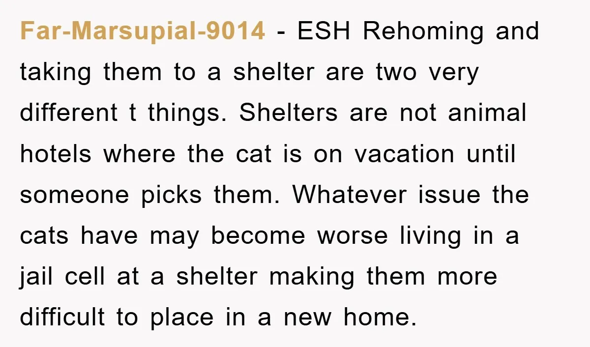 Far-Marsupial-9014 − ESH Rehoming and taking them to a shelter are two very different t things. Shelters are not animal hotels where the cat is on vacation until someone picks...