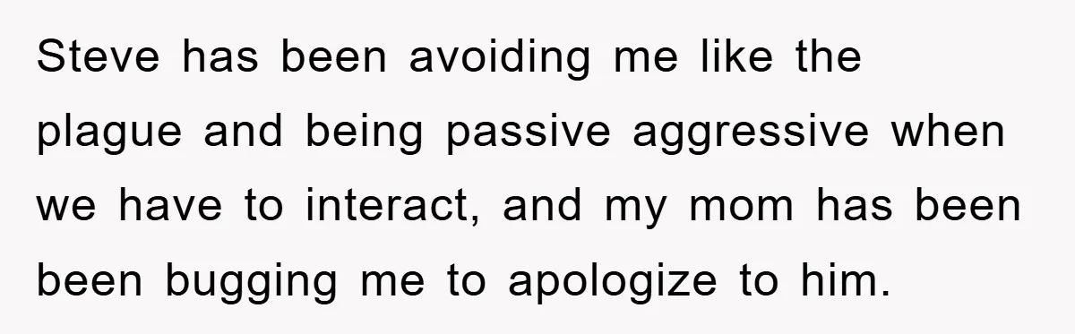 Steve has been avoiding me like the plague and being passive aggressive when we have to interact, and my mom has been been bugging me to apologize to him.