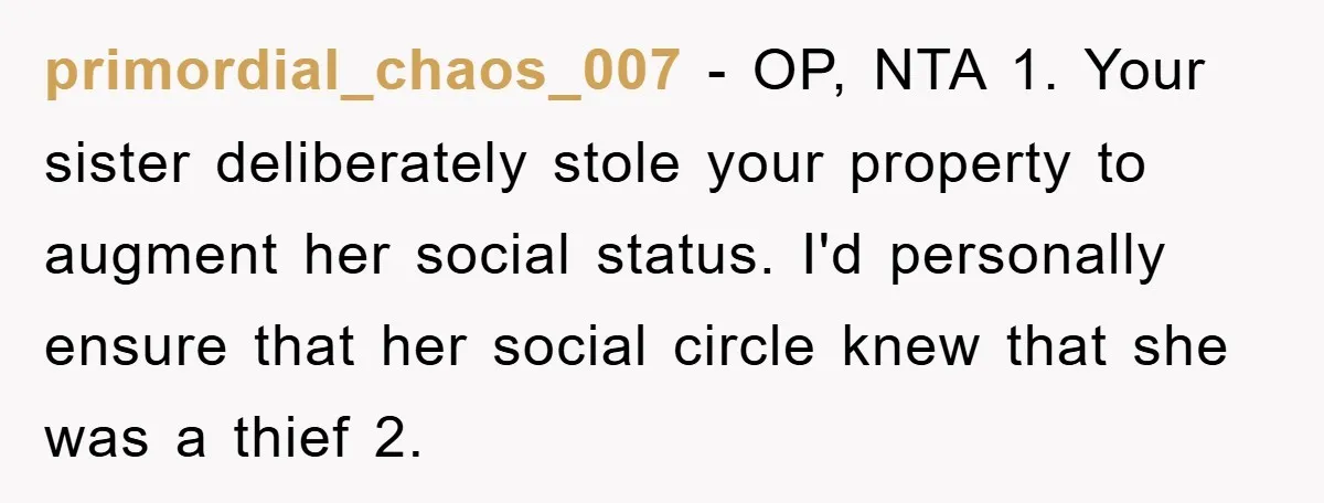 primordial_chaos_007 − OP, NTA 1. Your sister deliberately stole your property to augment her social status. I'd personally ensure that her social circle knew that she was a thief 2.