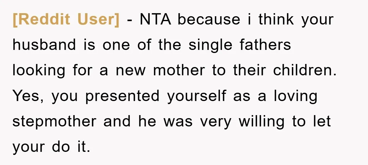 [Reddit User] − NTA because i think your husband is one of the single fathers looking for a new mother to their children. Yes, you presented yourself as a loving...